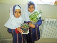 رویکردهاى جدید آموزش فراموش نشود