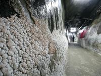 معدن سالینا توردا