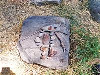 ارتباط هنر محیطی یا هنر زمین با آموزش