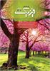 رشد آموزش فیزیک؛ شماره ۱۴۶. بهار ۱۴۰۵