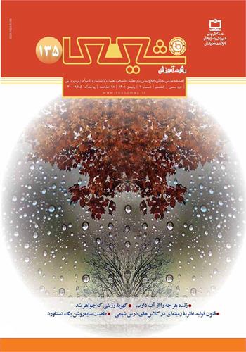 رشد آموزش شیمی؛ شماره ۱۳۵. پاییز ۱۴۰۱
