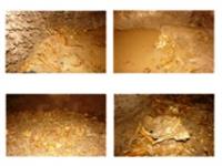 غار و اهمیت آن