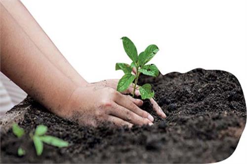دوستی برای همه