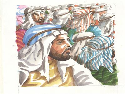 تصویرسازی . کد 12047