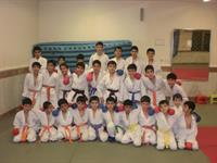 فلسفه هنر رزمی کاراته