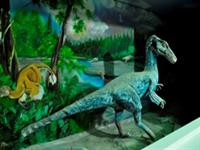 موزه علوم ‌زمین اداره کل زمین‌ شناسی و اکتشافات معدنی منطقه شمال شرق کشور.