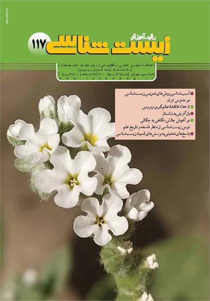 درنگ کردم