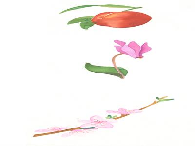 تصویرسازی . کد 10202