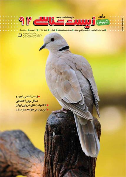 چگونگی سازمان‌یافتگی دیواره اسکلتی در گیاهان