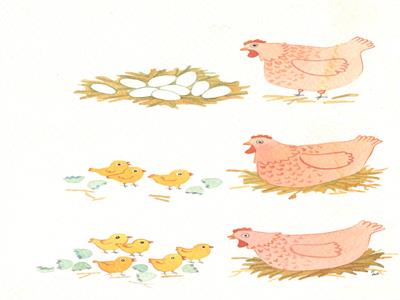 تصویرسازی . کد 10252