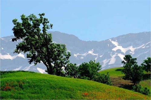 حفاظت از کوهستان زاگرس؛ بیم‌ها و امیدها
