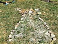 ارتباط هنر محیطی یا هنر زمین با آموزش