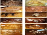 غار و اهمیت آن