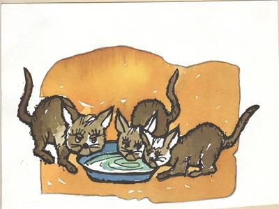 تصویرسازی . کد 12051