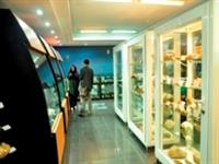 موزه علوم ‌زمین اداره کل زمین‌ شناسی و اکتشافات معدنی منطقه شمال شرق کشور.