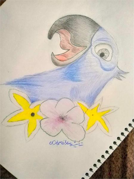 ستایش سجادی