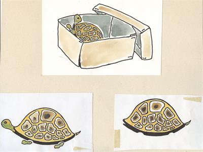 تصویرسازی . کد 12054