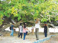 گردش علمی یا فعالیت تجربی خارج از کلاس