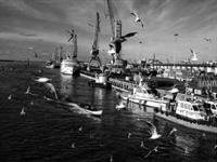 نمایی از بندرانزلی