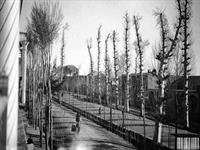 خیابان چهار باغ اصفهان