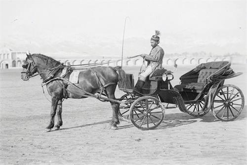 از طهران تا تهران