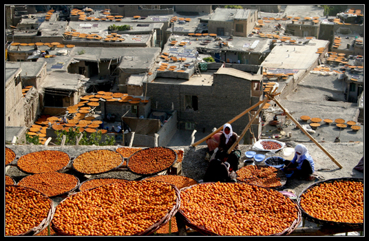 مسعود سلیمانی از خراسان رضوی با گرایش ایران سرزمین پرگهر