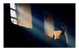 ششمین‌ جشنواره‌ی عکس رشد: ایران، سرزمین پرگهر 2