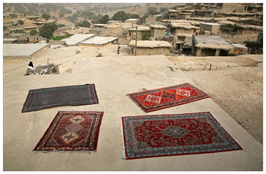 ششمین‌ جشنواره‌ی عکس رشد: ایران، سرزمین پرگهر 8