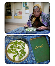 ششمین‌ جشنواره‌ی عکس رشد: ایران، سرزمین پرگهر 10