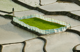 ششمین‌ جشنواره‌ی عکس رشد: ایران، سرزمین پرگهر 13