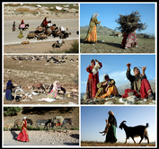 ششمین‌ جشنواره‌ی عکس رشد: ایران، سرزمین پرگهر 14