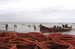 ششمین‌ جشنواره‌ی عکس رشد: ایران، سرزمین پرگهر 20