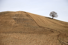 ششمین‌ جشنواره‌ی عکس رشد: ایران، سرزمین پرگهر 21