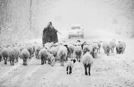 ششمین‌ جشنواره‌ی عکس رشد: ایران، سرزمین پرگهر 24