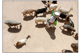 ششمین‌ جشنواره‌ی عکس رشد: ایران، سرزمین پرگهر 32