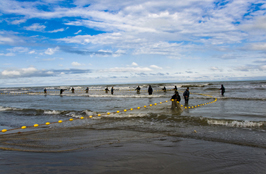 ششمین‌ جشنواره‌ی عکس رشد: ایران، سرزمین پرگهر 33