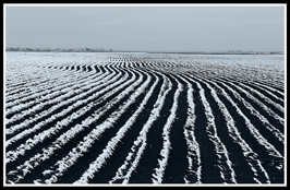 ششمین‌ جشنواره‌ی عکس رشد: ایران، سرزمین پرگهر 40