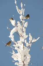 شمین جشنواره‌ی عکس رشد: دانش آموزی 3
