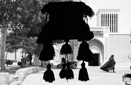 شمین جشنواره‌ی عکس رشد: دانش آموزی 4