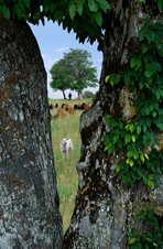شمین جشنواره‌ی عکس رشد: دانش آموزی 5