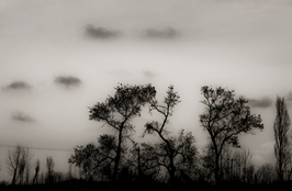 شمین جشنواره‌ی عکس رشد: دانش آموزی 6