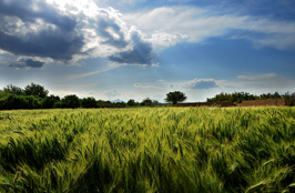 شمین جشنواره‌ی عکس رشد: دانش آموزی 16