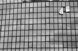 شمین جشنواره‌ی عکس رشد: دانش آموزی 17