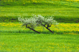 ششمین جشنواره‌ی عکس رشد: دانش‌آموزی 3
