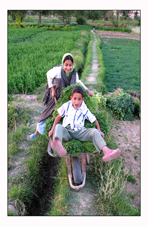 ششمین جشنواره‌ی عکس رشد: دانش‌آموزی 7