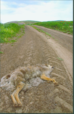 ششمین جشنواره‌ی عکس رشد: دانش‌آموزی 9