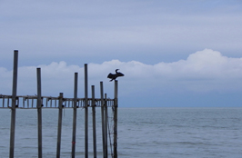 ششمین جشنواره‌ی عکس رشد: دانش‌آموزی 15