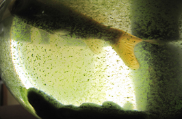 ششمین جشنواره‌ی عکس رشد: دانش‌آموزی 19