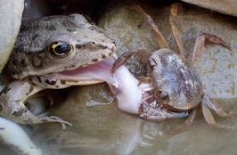 ششمین جشنواره‌ی عکس رشد: دانش‌آموزی 21