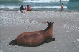 ششمین جشنواره‌ی عکس رشد: دانش‌آموزی 22